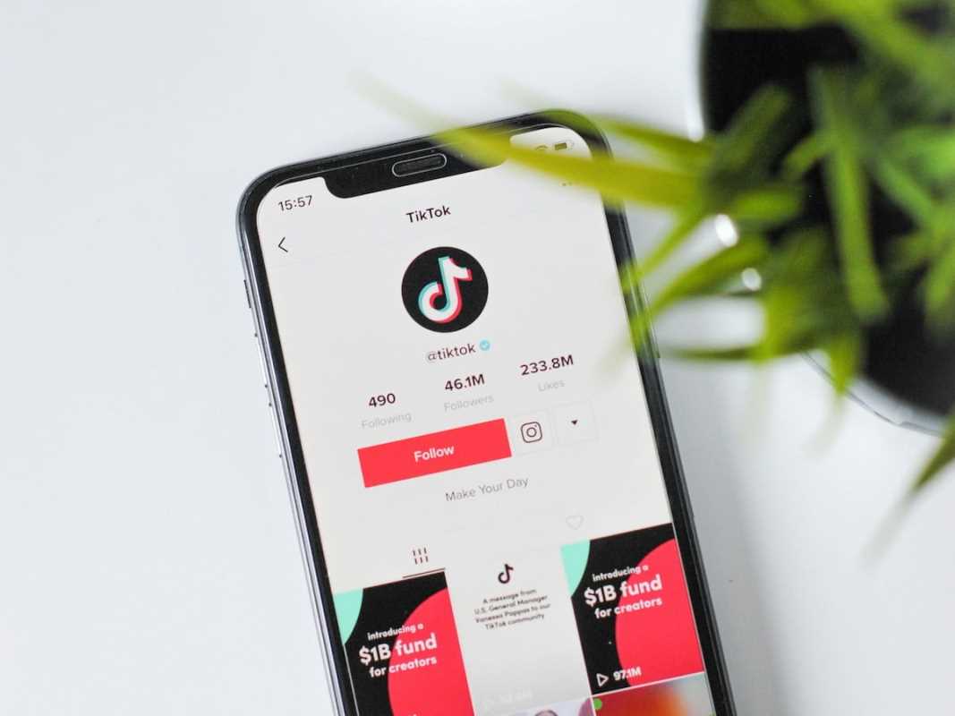 Creators Bringing Authentic Latin Culture to TikTok